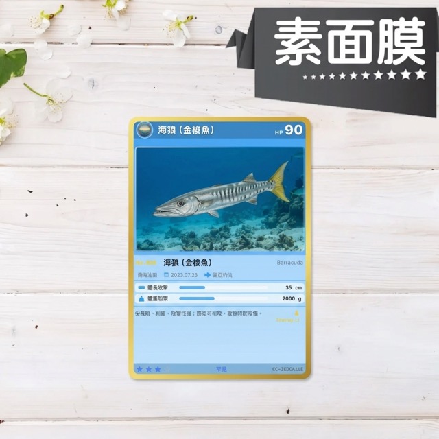 素面膜 Cardcha 實體魚卡展示